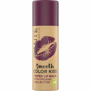 Sante Barevný balzám na rty No.03 Soft Plum 7g