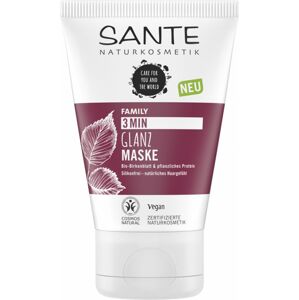 Sante Family 3minutová maska na vlasy Bio Březové lístky & Rostlinné proteiny 100 ml