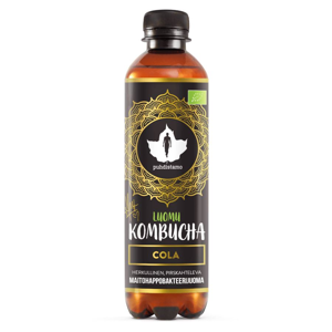 Puhdistamo Kombucha BIO cola 370ml