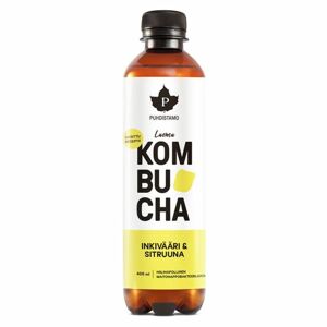 Puhdistamo Kombucha BIO zázvor a citrón 400ml