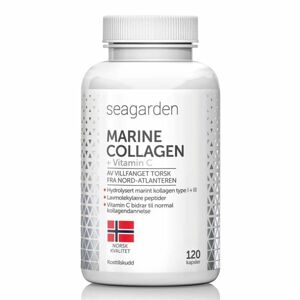 Kolagen