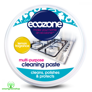 Ecozone Univerzální čistící pasta 300g